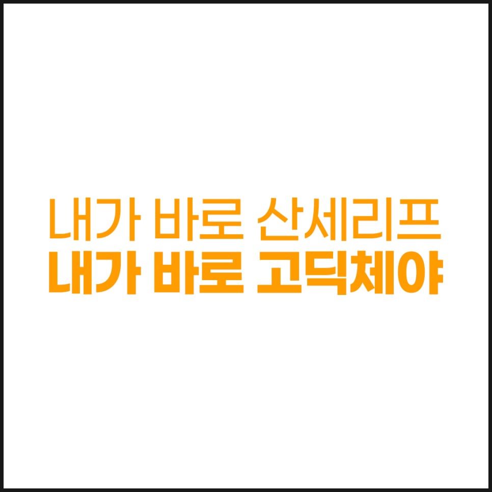 내가 바로 산세리프 내가 바로 고딕체야